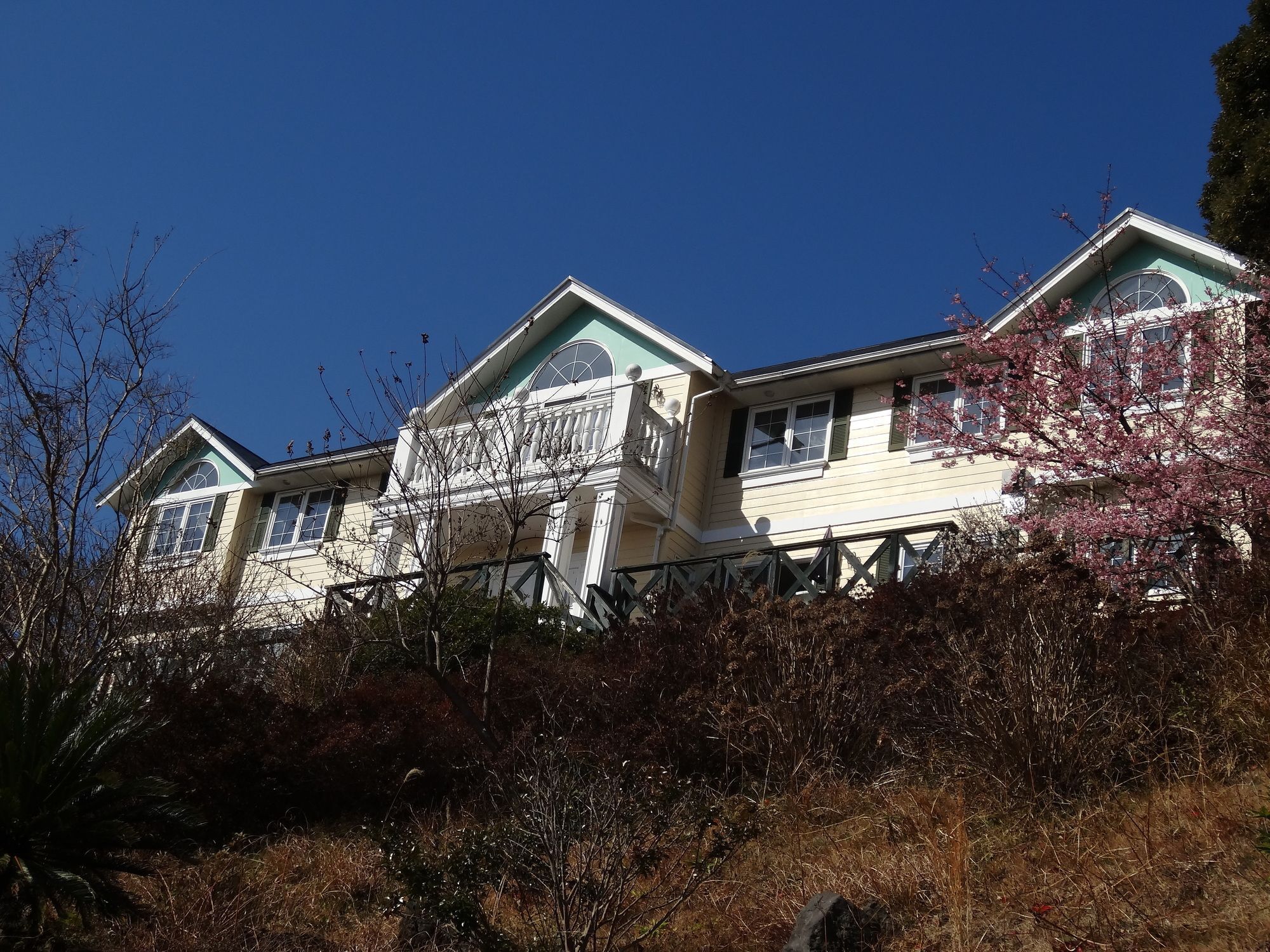 Liberty Hill Otel Ito  Dış mekan fotoğraf